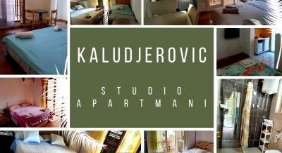 Apartments Kaludjerovic - AVAILABLE UNTIL 28.08.2021, private accommodation in city Igalo, Montenegro